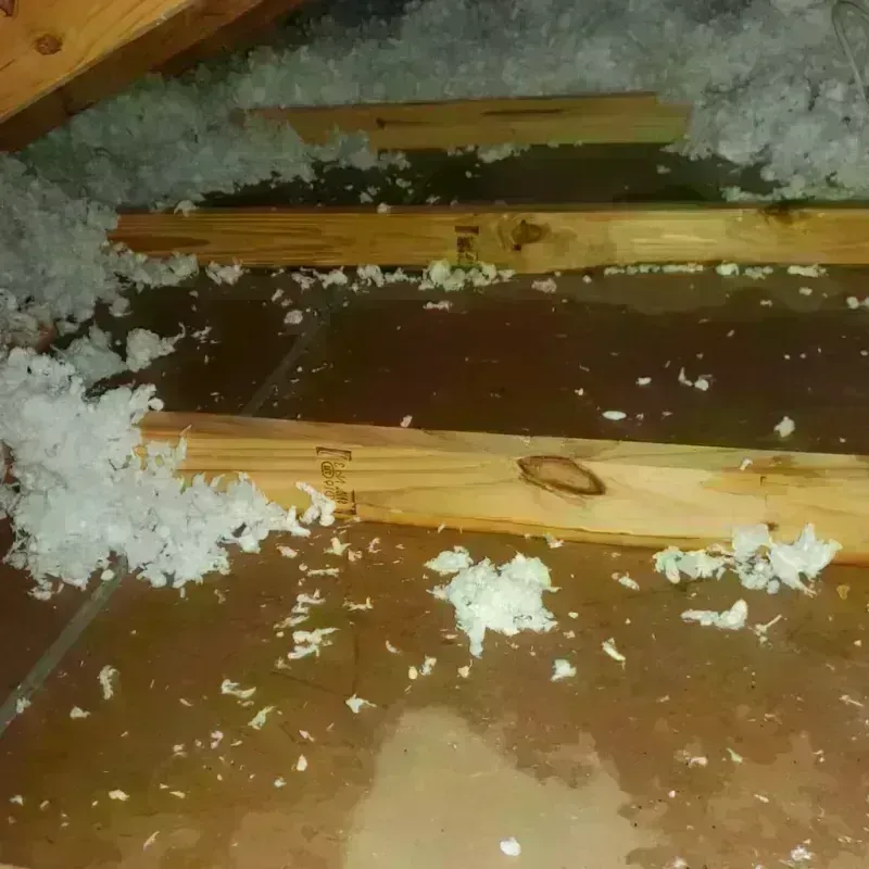 Attic Water Damage in Ashland, NE