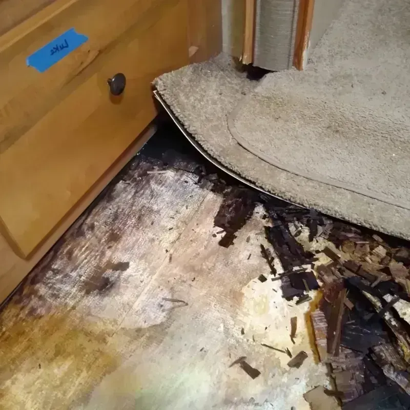 Wood Floor Water Damage in Ashland, NE